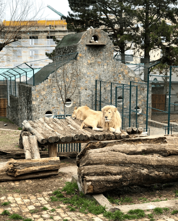 Belgrade Zoo.png