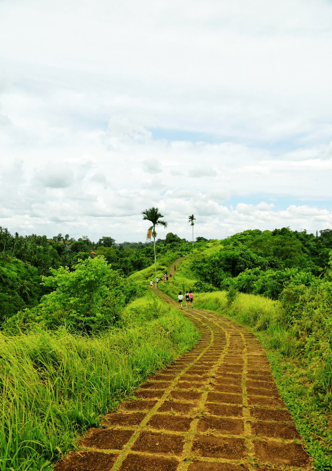 Campuhan Ridge Walk