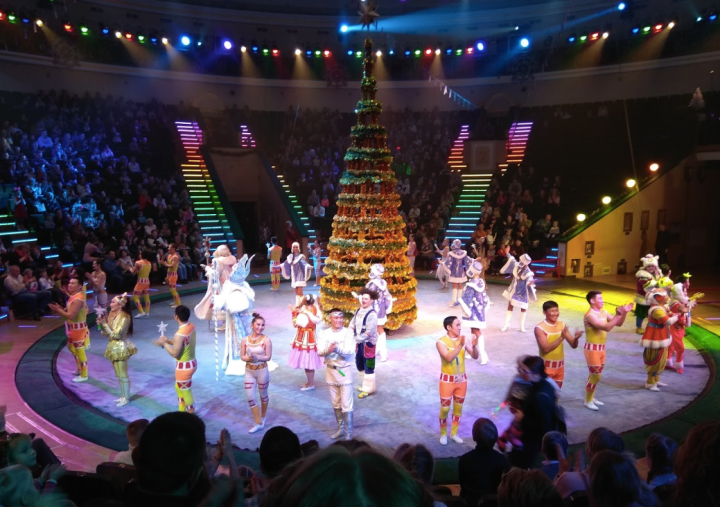 Belarusian State Circus