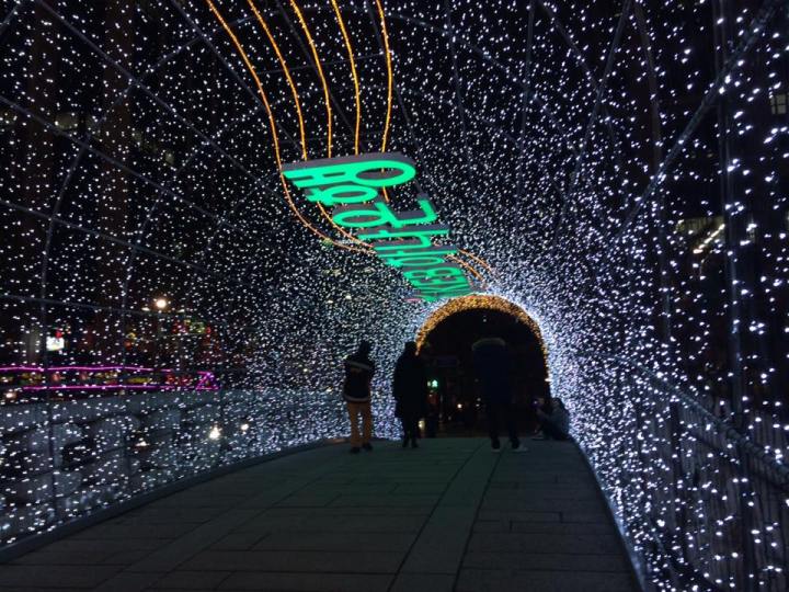 Cheonggyecheon light